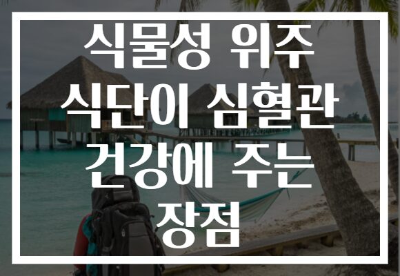 식물성 위주 식단이 심혈관 건강에 주는 장점