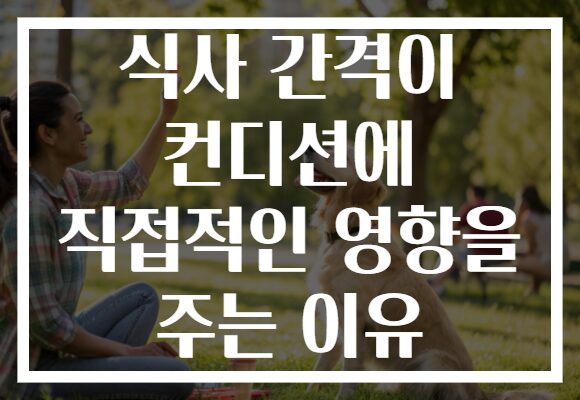 식사 간격이 컨디션에 직접적인 영향을 주는 이유