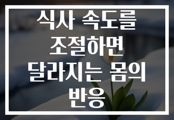 식사 속도를 조절하면 달라지는 몸의 반응