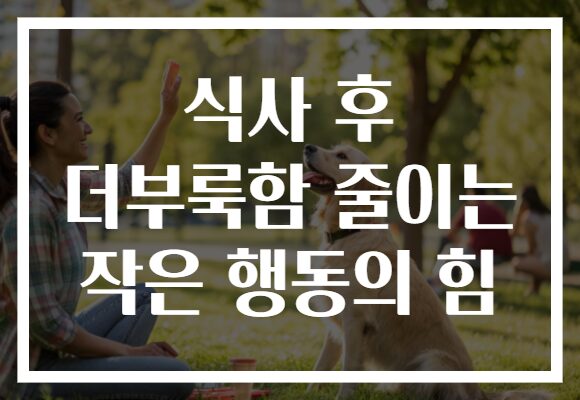 식사 후 더부룩함 줄이는 작은 행동의 힘