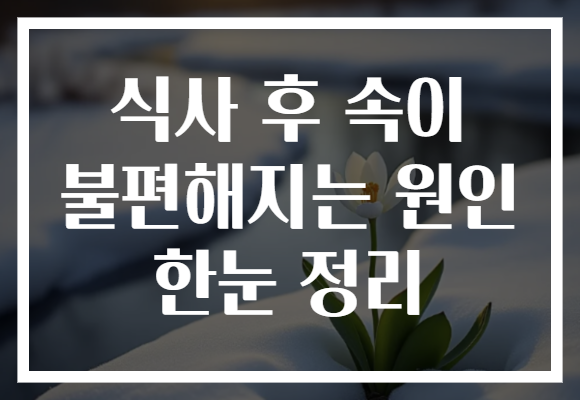 식사 후 속이 불편해지는 원인 한눈 정리