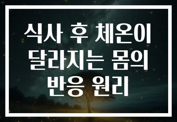 식사 후 체온이 달라지는 몸의 반응 원리