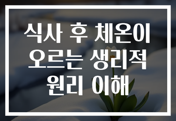 식사 후 체온이 오르는 생리적 원리 이해