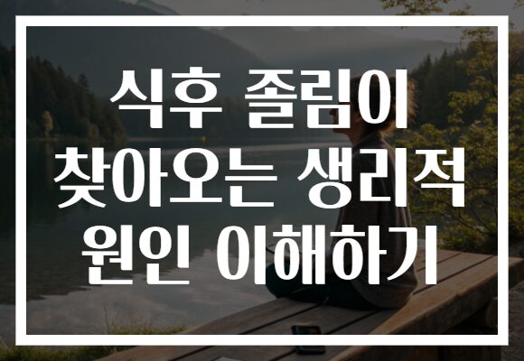 식후 졸림이 찾아오는 생리적 원인 이해하기