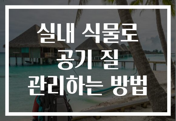 실내 식물로 공기 질 관리하는 방법