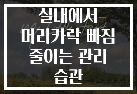 실내에서 머리카락 빠짐 줄이는 관리 습관