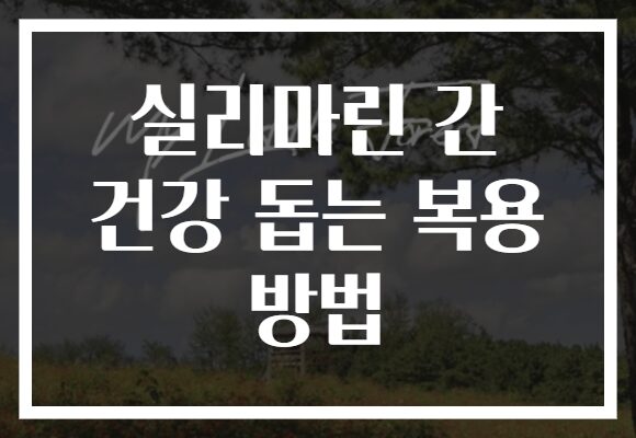 실리마린 간 건강 돕는 복용 방법
