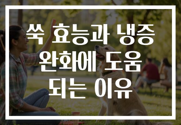 쑥 효능과 냉증 완화에 도움 되는 이유