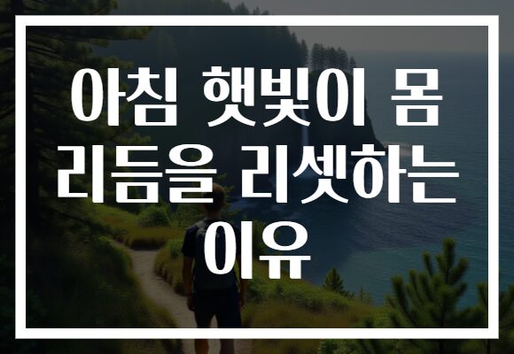 아침 햇빛이 몸 리듬을 리셋하는 이유