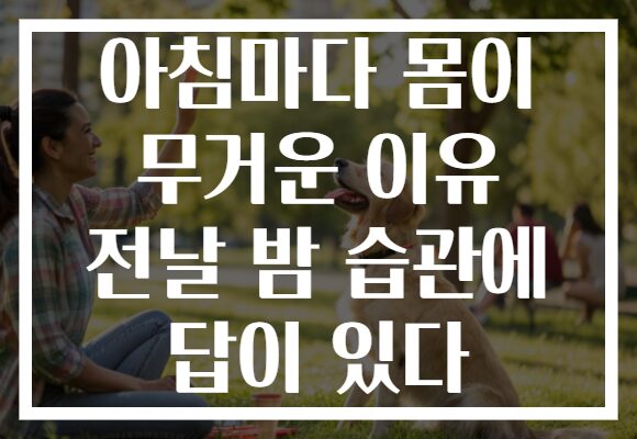 아침마다 몸이 무거운 이유 전날 밤 습관에 답이 있다