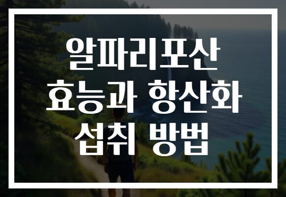 알파리포산 효능과 항산화 섭취 방법