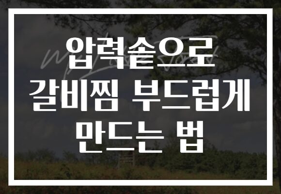 압력솥으로 갈비찜 부드럽게 만드는 법