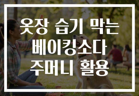 옷장 습기 막는 베이킹소다 주머니 활용