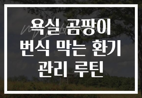 욕실 곰팡이 번식 막는 환기 관리 루틴