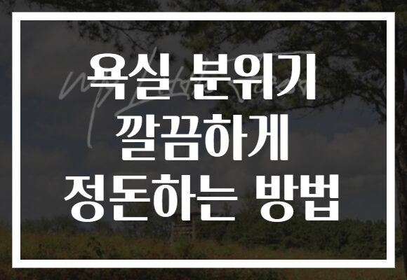 욕실 분위기 깔끔하게 정돈하는 방법