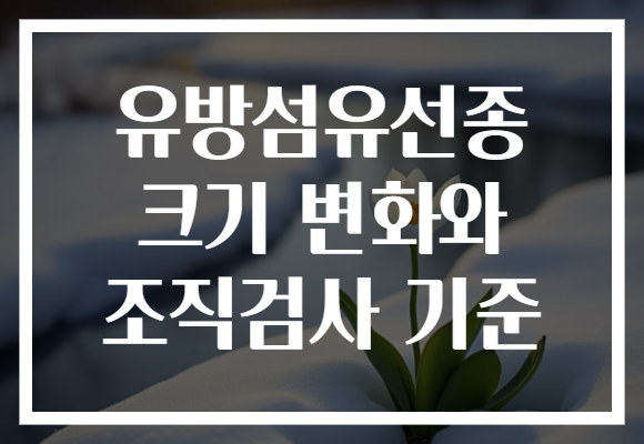 유방섬유선종 크기 변화와 조직검사 기준
