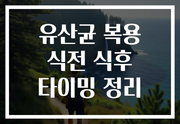 유산균 복용 식전 식후 타이밍 정리