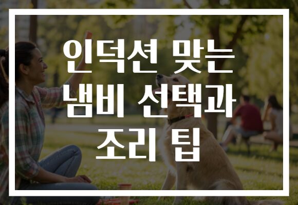 인덕션 맞는 냄비 선택과 조리 팁