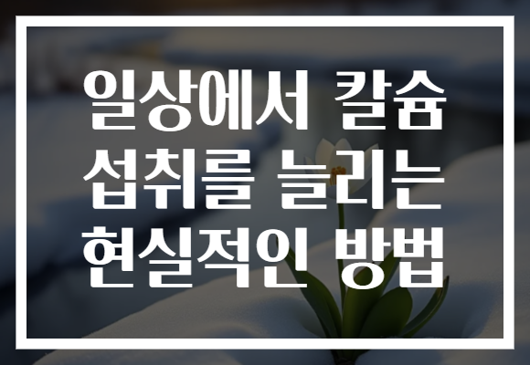 일상에서 칼슘 섭취를 늘리는 현실적인 방법