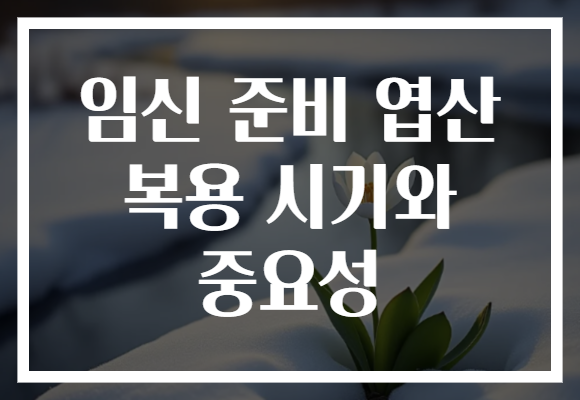 임신 준비 엽산 복용 시기와 중요성