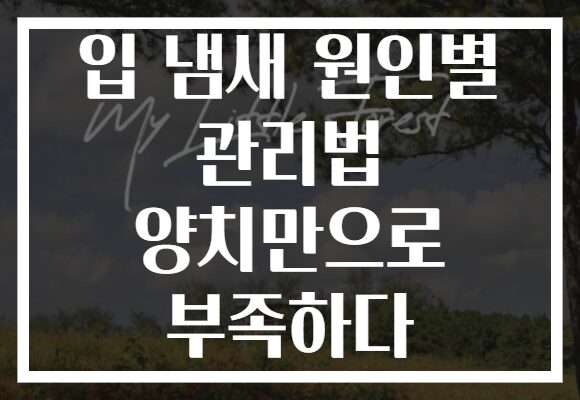 입 냄새 원인별 관리법 양치만으로 부족하다
