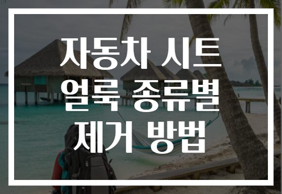 자동차 시트 얼룩 종류별 제거 방법