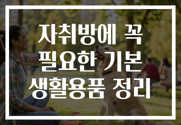 자취방에 꼭 필요한 기본 생활용품 정리