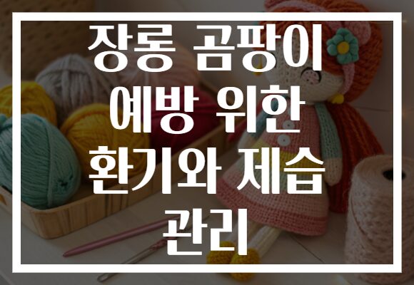 장롱 곰팡이 예방 위한 환기와 제습 관리