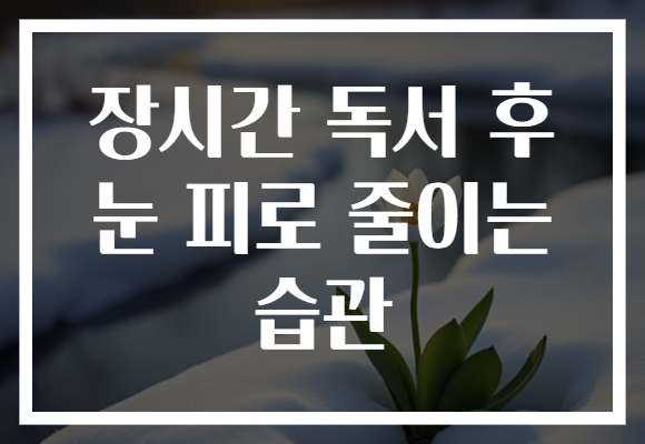 장시간 독서 후 눈 피로 줄이는 습관