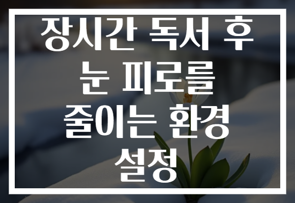 장시간 독서 후 눈 피로를 줄이는 환경 설정