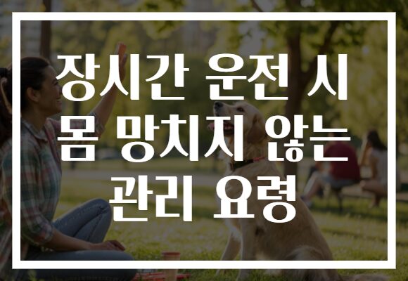 장시간 운전 시 몸 망치지 않는 관리 요령