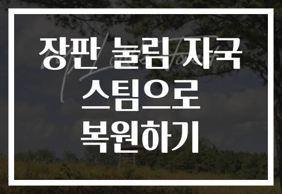 장판 눌림 자국 스팀으로 복원하기