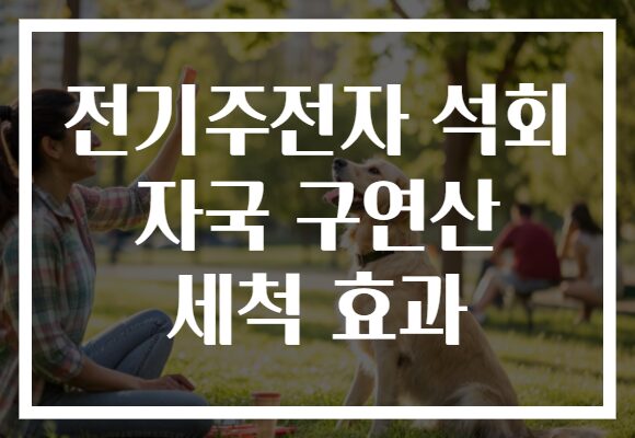 전기주전자 석회 자국 구연산 세척 효과