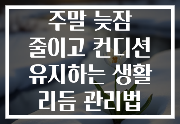 주말 늦잠 줄이고 컨디션 유지하는 생활 리듬 관리법