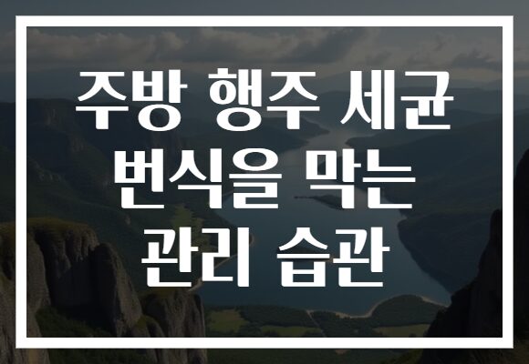 주방 행주 세균 번식을 막는 관리 습관