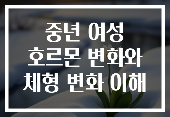 중년 여성 호르몬 변화와 체형 변화 이해