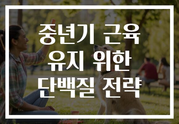 중년기 근육 유지 위한 단백질 전략