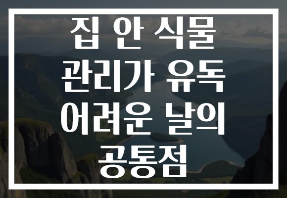집 안 식물 관리가 유독 어려운 날의 공통점