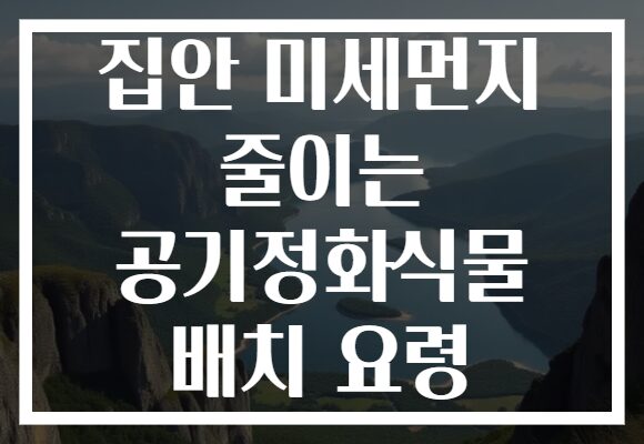 집안 미세먼지 줄이는 공기정화식물 배치 요령