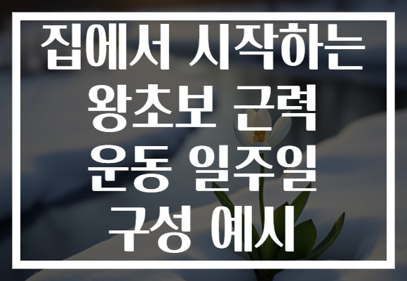 집에서 시작하는 왕초보 근력 운동 일주일 구성 예시