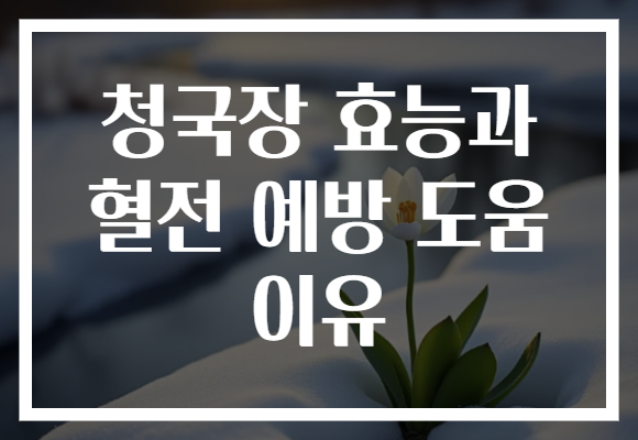 청국장 효능과 혈전 예방 도움 이유