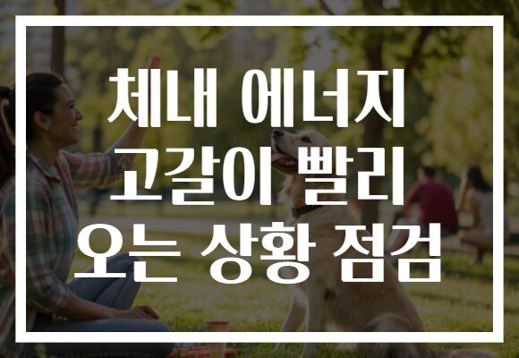 체내 에너지 고갈이 빨리 오는 상황 점검