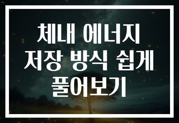 체내 에너지 저장 방식 쉽게 풀어보기