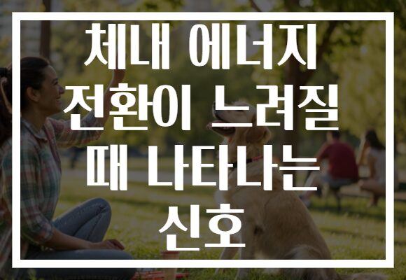 체내 에너지 전환이 느려질 때 나타나는 신호