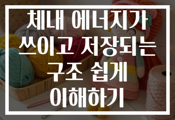 체내 에너지가 쓰이고 저장되는 구조 쉽게 이해하기