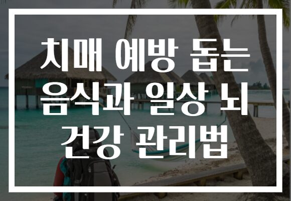 치매 예방 돕는 음식과 일상 뇌 건강 관리법