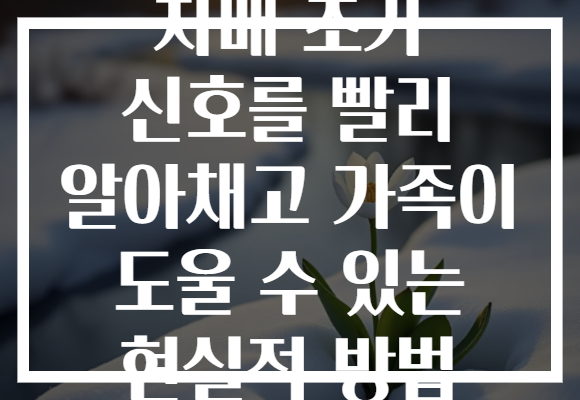 치매 초기 신호를 빨리 알아채고 가족이 도울 수 있는 현실적 방법