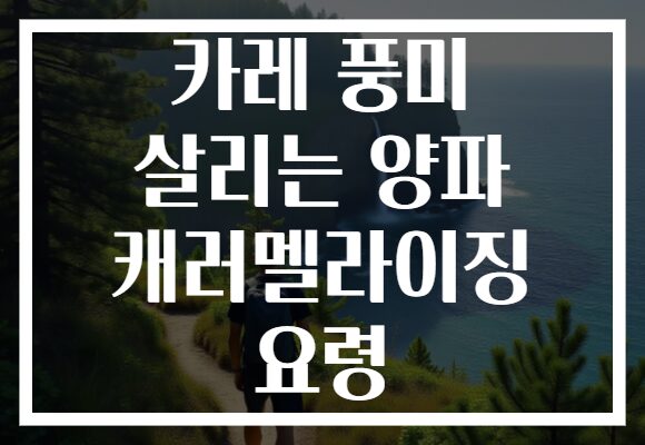카레 풍미 살리는 양파 캐러멜라이징 요령