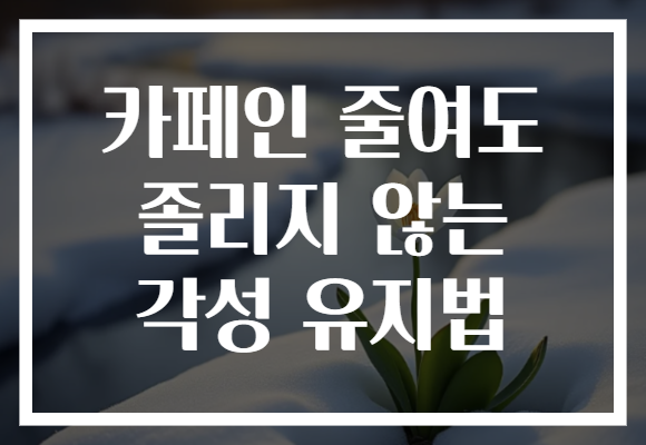 카페인 줄여도 졸리지 않는 각성 유지법
