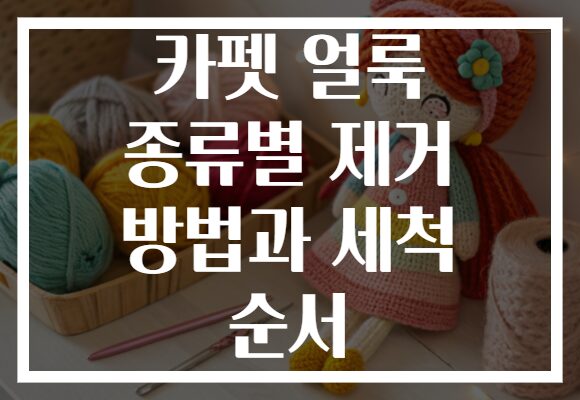 카펫 얼룩 종류별 제거 방법과 세척 순서